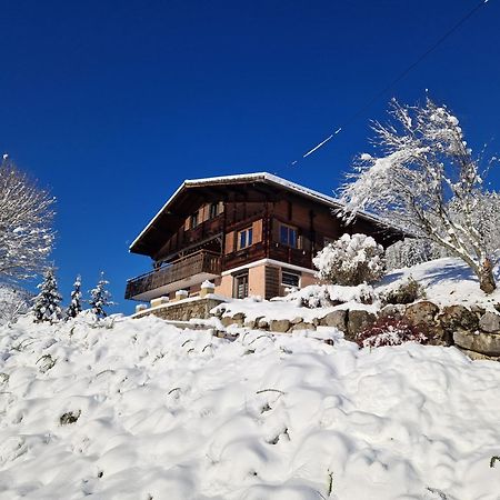 Chalet De Manigod Kültér fotó